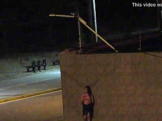 Couple on the beach, security camera captured their intimacy
