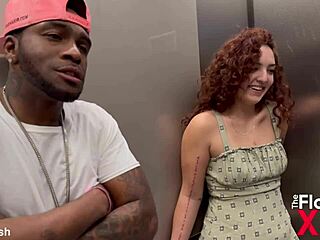 Trailer Dee Lusion Encounters Rome Major Following the Party