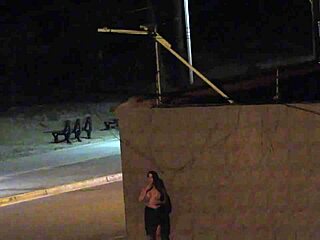 Couple on the beach, security camera captured their intimacy