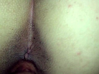 Bull Fucks In Rough Missionary