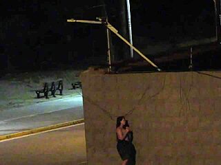 Couple Caught On Beach Security Camera