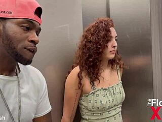 Trailer Dee Lusion Encounters Rome Major Following the Party