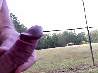 clitlicker662 update 10 img 1213 oct 04 2024