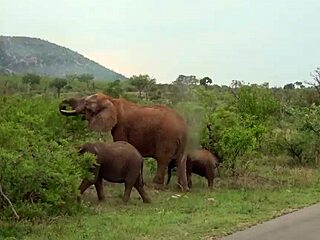 sexy black babe sloppy deep throat big white cock on the road
