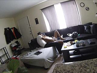 a nice afternoon visit preview