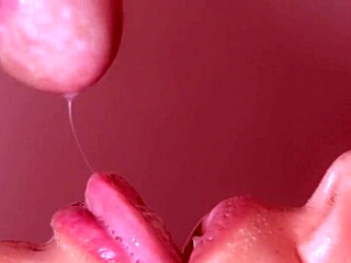 Experienced Japanese Hostess Blows Big Cock in Homestay Close-Up