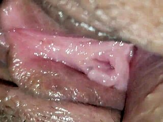 De Perrito Le Introdusco Toda La Verga