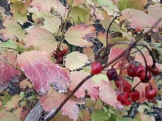 our autumn sex in a hut was pure lesbian magic!