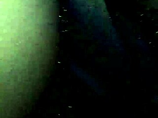 Video Recorded On March 31, 2017, At 01:29:48