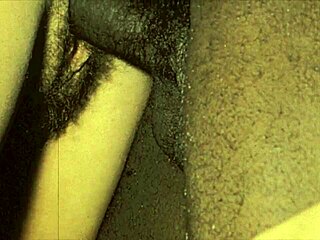 this vintage porn features a 4some with hairy pussies