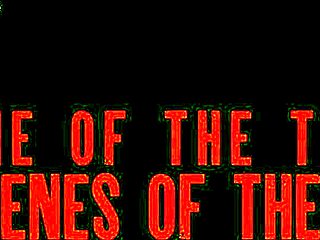 Dolly Orchid Meets Jimmy Bud