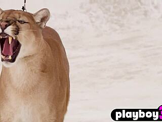 I messed up posin’ naked, but damn, my sexy body’s out after that striptease!