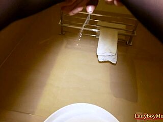 Transsexual secretary Tata flashes tits and pees in bathroom.