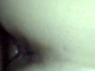 Mrs. has a t-girl friend with big tits and ass, girlfriend style in casual encounter