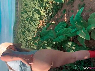hey, i sucked him hidden in the cornfield - aline novak 😈