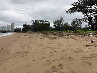 babe can i cum on your tits - public cock flashing on the beach