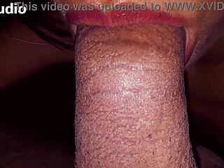 Compilation of Blowjobs and Cum in Mouth of Super Sluts