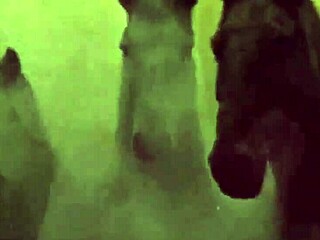 my secret life featuring retro blowjob scenes