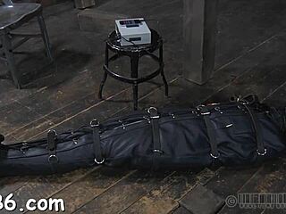 bound hottie endures nip clips in intense hardcore session
