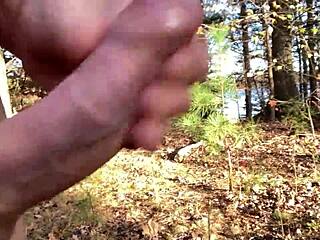 Clitlicker662, wanna see my wild forest flash update?