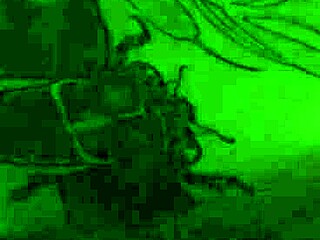 My Gamer Girlfriend Squirt and Get Facial During Anal Free Use