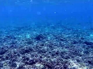 beauty shows off huge dildo, first time 😘