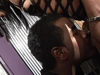 Beautiful black milf Sydnee Capri in fishnet suit delivers intense blowjob before rough anal fucking.