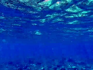 beauty shows off huge dildo, first time 😘