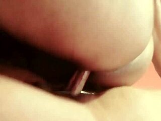 Sundaydogood614 update 644 vid 20241129 190420 nov 29 2024