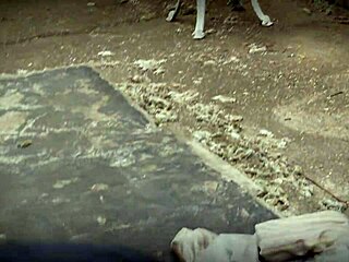 Big Tits Curvy Brunette Indulges In Slutty Sex In Fishnets And Heels