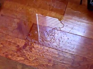 maxine x squirts hard 😩