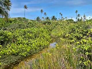 nudist beach adventure turns into orgy with doggystyle fucking and tight cuckold double penetration