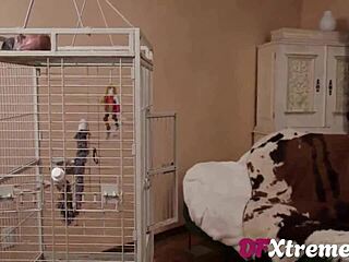 Phoebe kalib finds comfort in massive cock