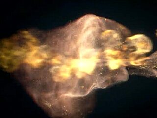 babe janet says, 'fuck my ass hard with that monster cock, serge!'