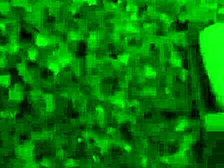 Naughty Penny Pax plays with her big clit using a dildo outdoors.