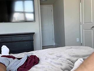 why does lucy lotus start a new business with scott stark?