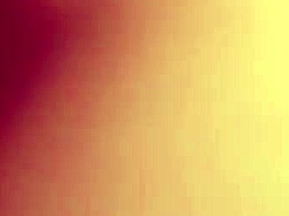 Doggy Style Shot with Macro Lens Captures Wet Pussy Action