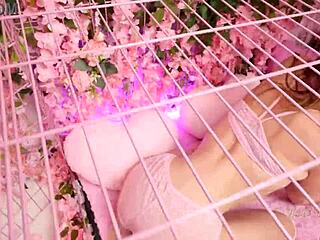 della cate visits nade nasty's pink room