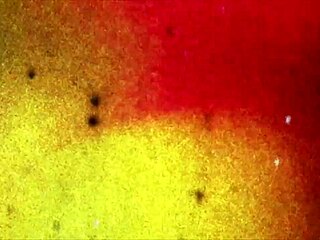 Isabela and Louyse fuck hard