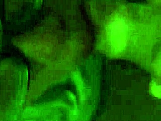 This korean prostitute is chupando pija like a pro, oral sex heaven! 🔥