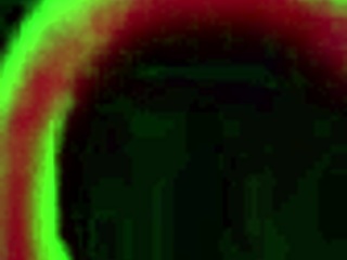 rome major and yasmine de leon milk them off in rome.