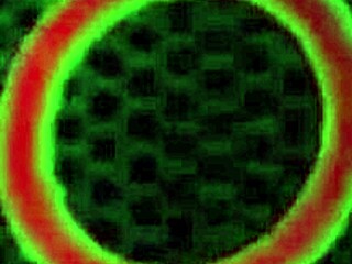 MILF Sara Jay Fucks Busty Lesbian Kelly Staxxx