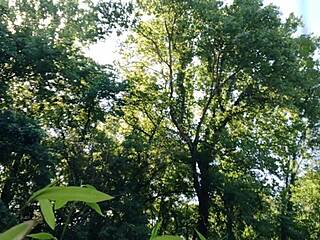 I jerked off in public at the park, cum went everywhere