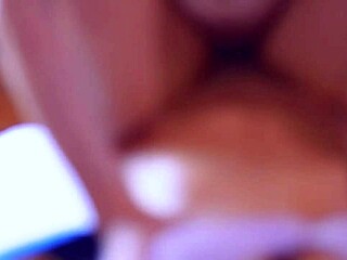 Sister-in-law hosts her sister's companion in single house.