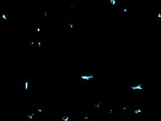 She Was Thinking of Working on Flexibility but It Turned Out to Be an Exercise Machine