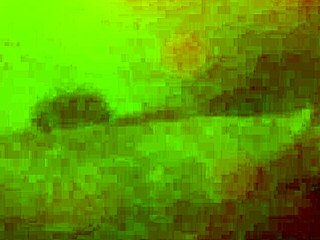 I give a feet job to this big cock