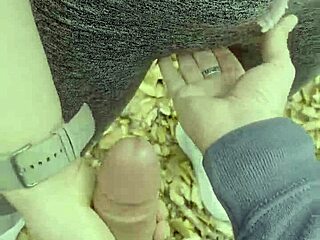 हाइकर पार्क में रफ आउटडोर चुदाई के लिए रुकी