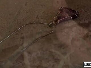 you really followed me to another state for this hardcore fun?