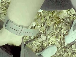 Hiker stops for rough outdoor sex in park