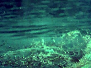 Village bhabhi love sex with devar please dont tell my husband